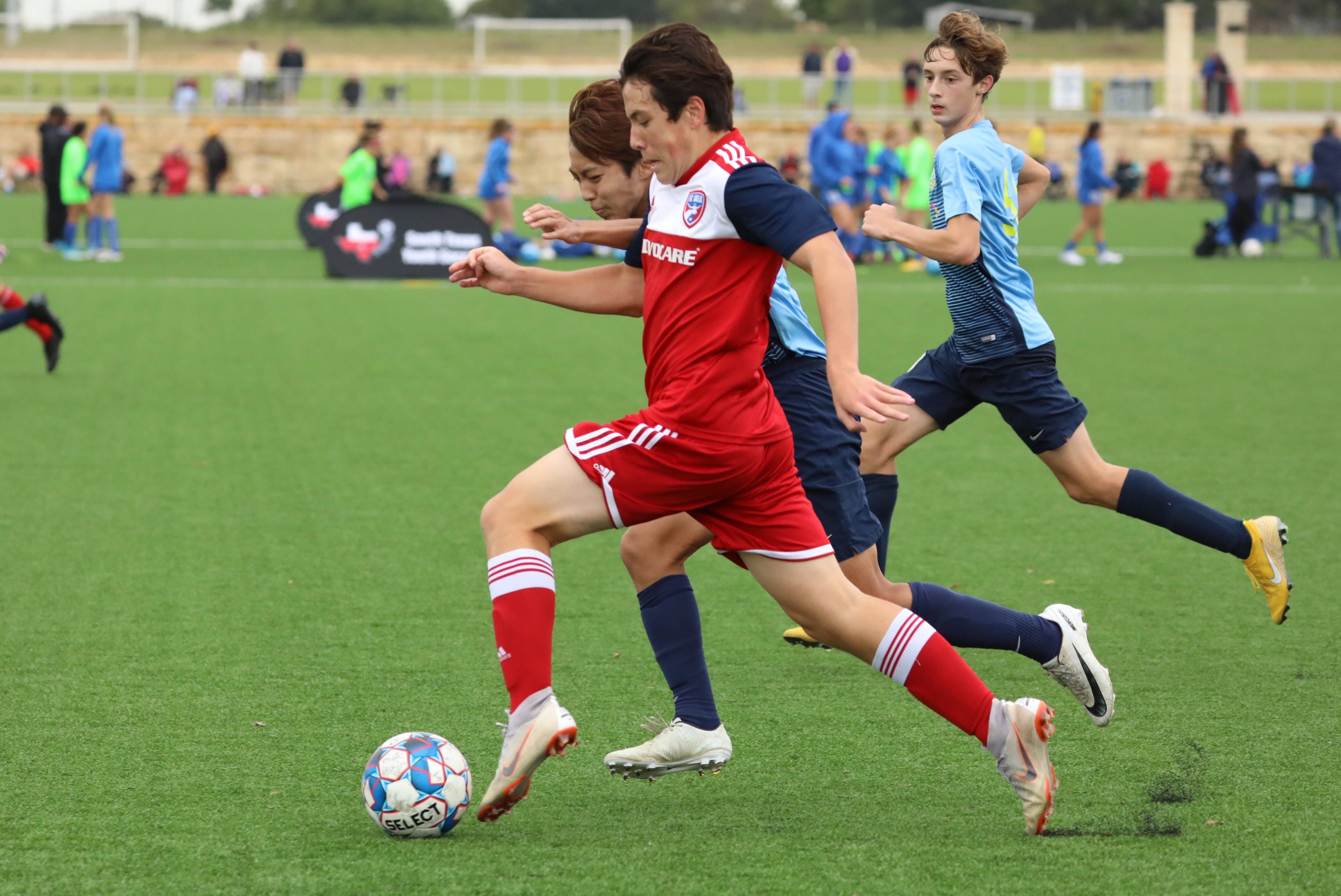 通过这种锻 通过这种锻